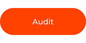 Audit